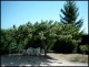 Location de gites dans un grand mas provençal au 5