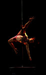 Ecole de Pole dance et de Pole sport Seine et marne 77600 3