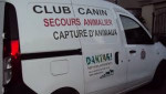 Club canin Daktari 1