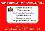 Formation animalière 2