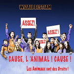 AIDE A DIFFUSION PROJET MUSICAL CAUSE ANIMALE