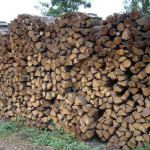 Bois de chauffage sec  de 4 ans