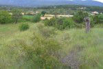 TERRAIN TRES BIEN PLACER DE 9040M2 NON CONSTRUCTIBLE 2