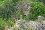 TERRAIN TRES BIEN PLACER DE 9040M2 NON CONSTRUCTIBLE 3