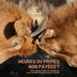 Vous avez un litige bloqué (commande, facture) ? 3