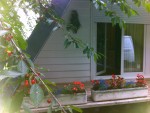 CHALET GITE AUVERGNE 2