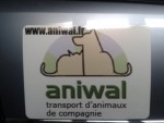 Taxi animalier 1