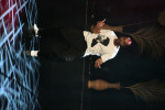 DANSER PRES D ALES 4