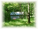 Cabane dans les arbres Pyrénées à Oloron-Sainte-Marie 1