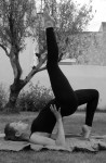 Cours particulier de hatha yoga paris 12 2