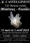 31è bourse vente de minéraux et fossiles à Castelginest 1