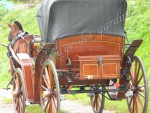 Attelages / chevaux pour vos mariages 2